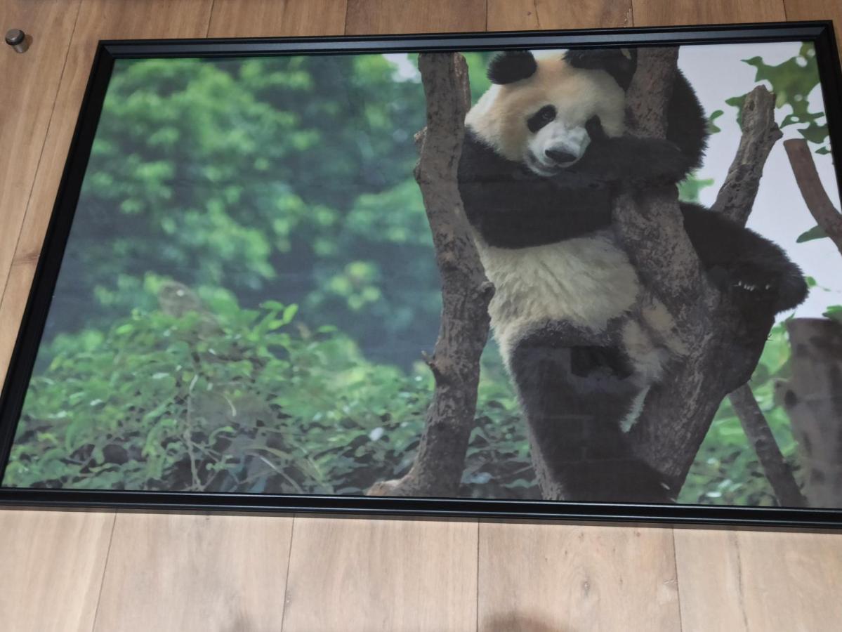 A 4 Min Du Zoo De Beauval La Maison A Partager Ch2 1Er Etage Saint-Aignan  Exterior foto
